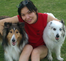 Sandra Chang-Adair with her sheltie, Ripley and her aussie, Freckles